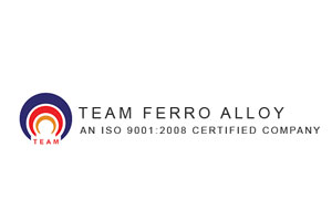 Team Ferro Alloy